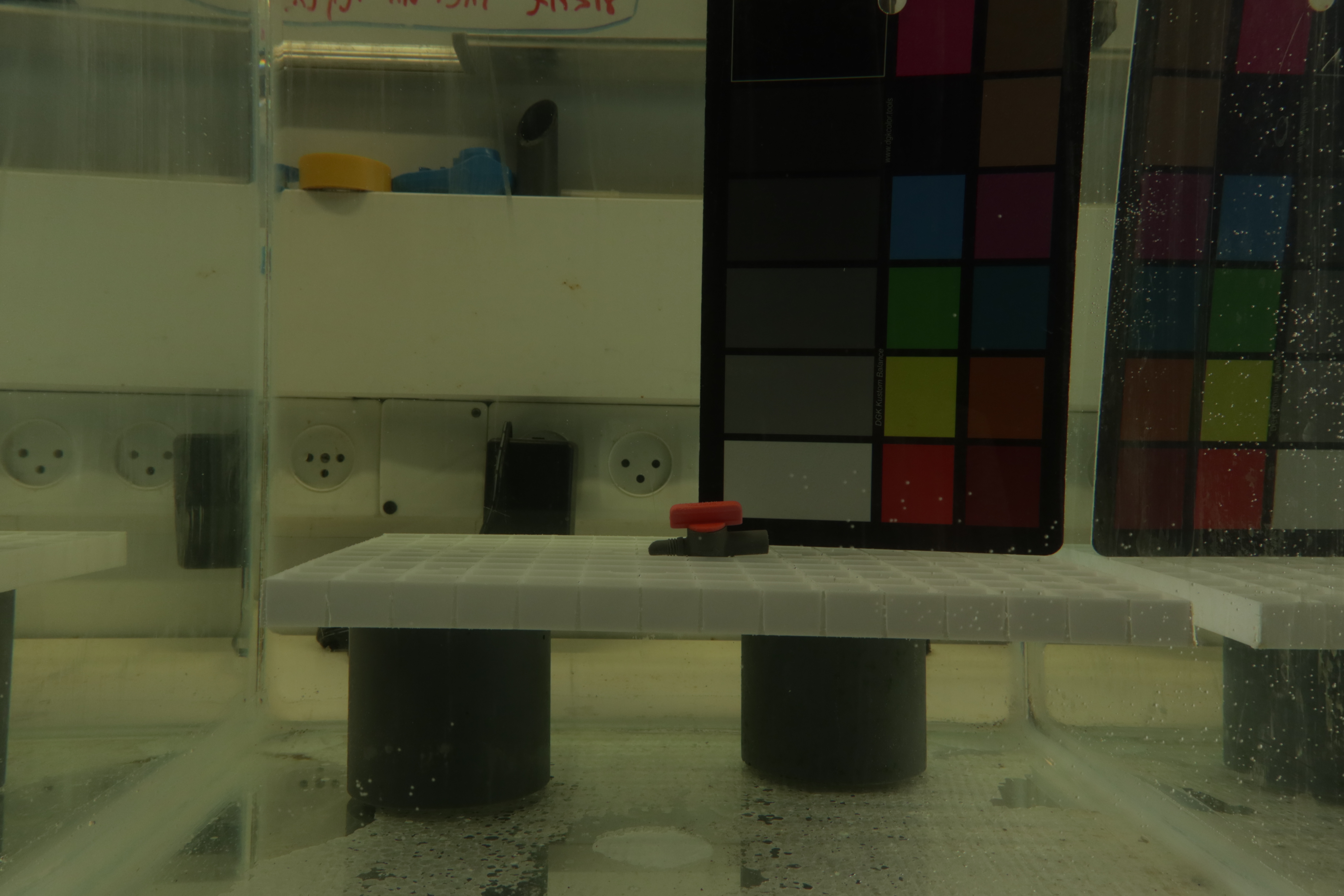 Figure 4: Image output from Imaging Rig V1 with a backdrop behind the camera, notice the reduction of reflected lights in the glass.